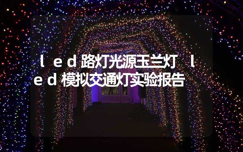 led路灯光源玉兰灯 led模拟交通灯实验报告